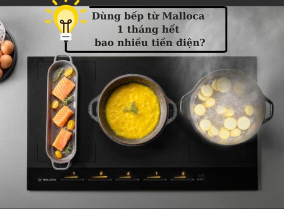 Bếp từ Malloca 1 tháng hết bao nhiêu số điện Bếp từ Malloca 1 tháng hết bao nhiêu số điện