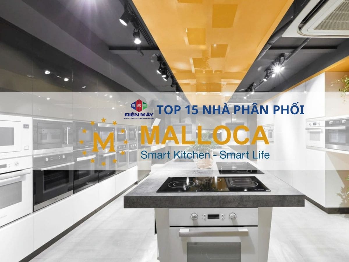 điện máy 365 top 15 nhà phân phối malloca mạnh nhất năm 2025